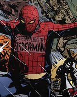 all-those-over-weight-guys-in-bad-spiderman-costumes-remind-_c616d8c3490a8f94a96aa0af9293888a